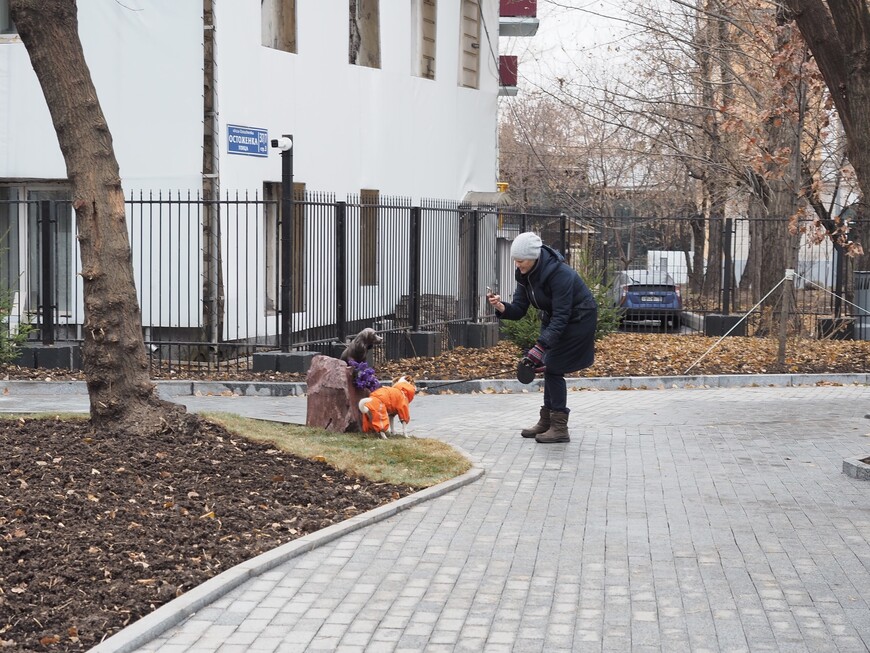 Тургеневские места в Москве