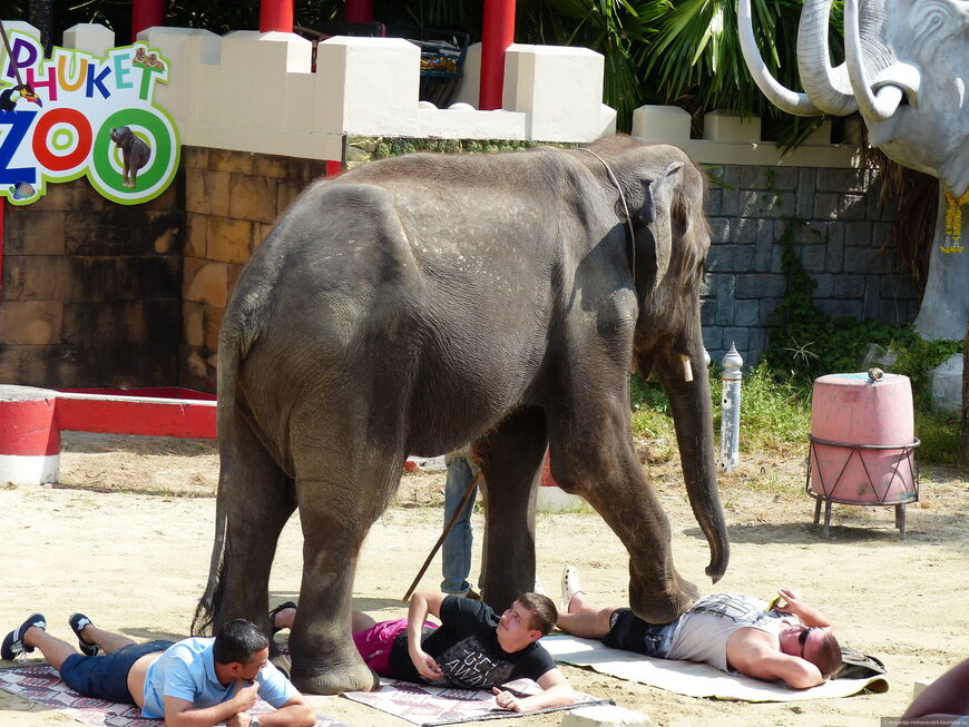 Зоопарк на Пхукете (Phuket Zoo)