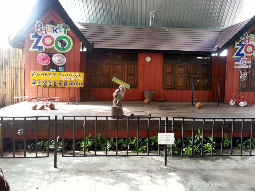 Зоопарк на Пхукете (Phuket Zoo)
