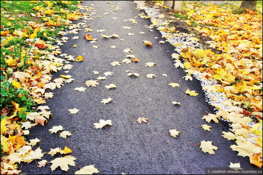 Осень под ногами