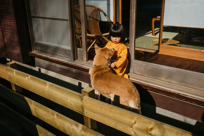 Фотографии причудливых и необычных моментов повседневной жизни в Японии