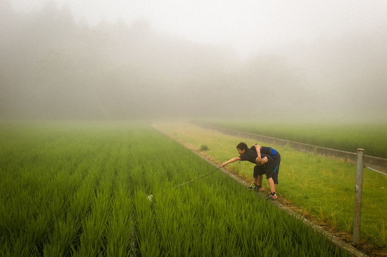 Фотографии причудливых и необычных моментов повседневной жизни в Японии