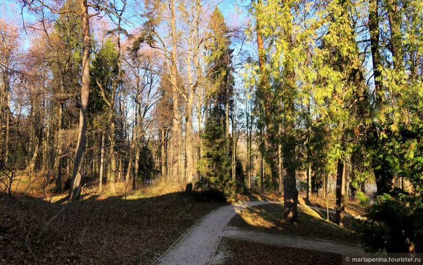 Солнечное и морозное Абрамцево