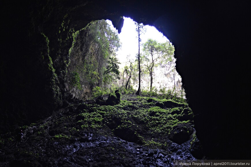 Вид из тоннеля в пещеру