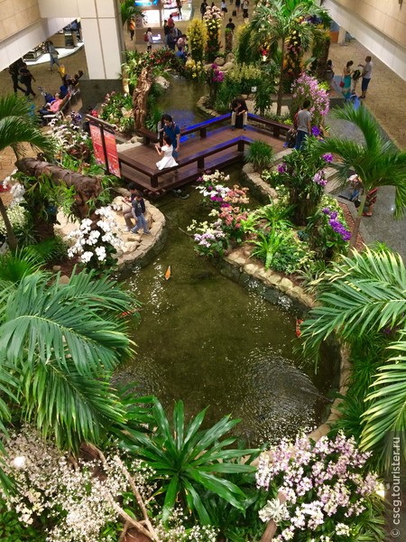 День 14-15. Сингапурский зоопарк, Арабский квартал, сад орхидей и подсолнухов в аэропорту Чанги