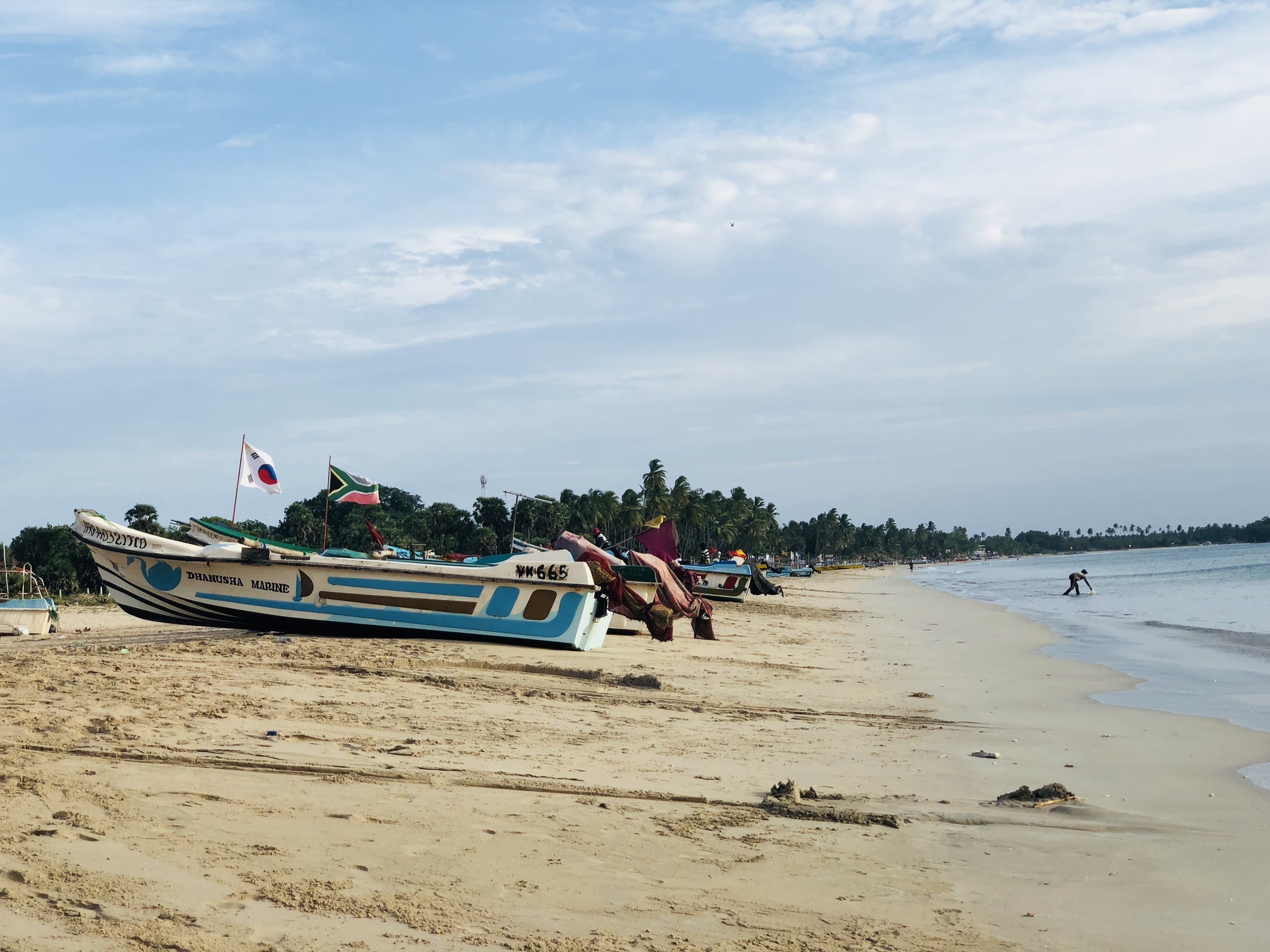 Аренда авто шри ланка. Шри Ланка пляжи. Пляж Нилавели Шри Ланки фото.