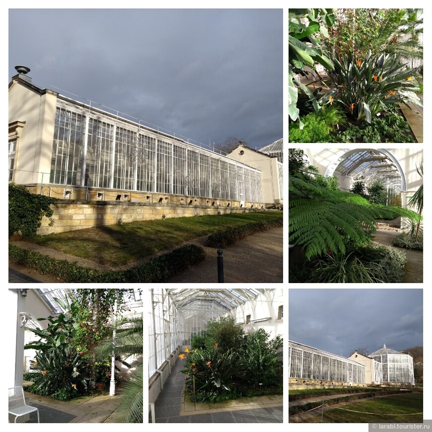 Palmenhaus