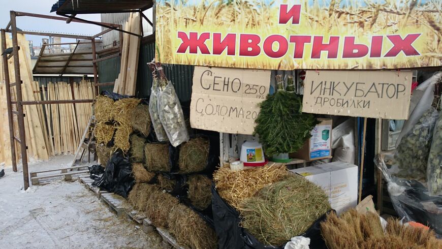 Колхозный (Птичий) рынок в Екатеринбурге