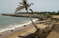 Пляж Хамбантота (Hambantota Beach)