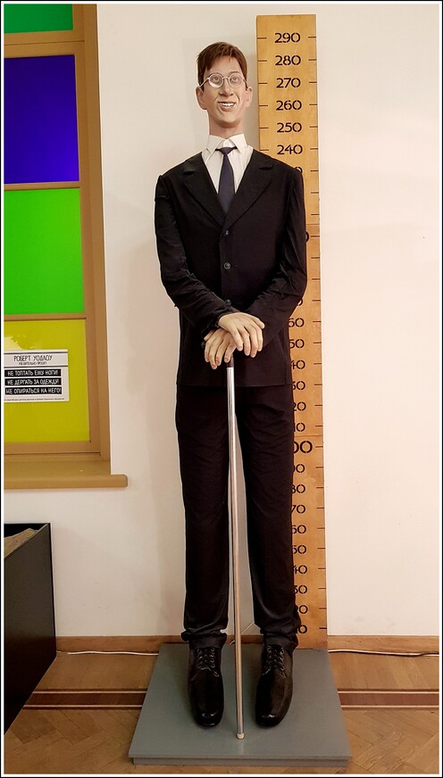 Дождливый Павловск и самый высокий человек в мире