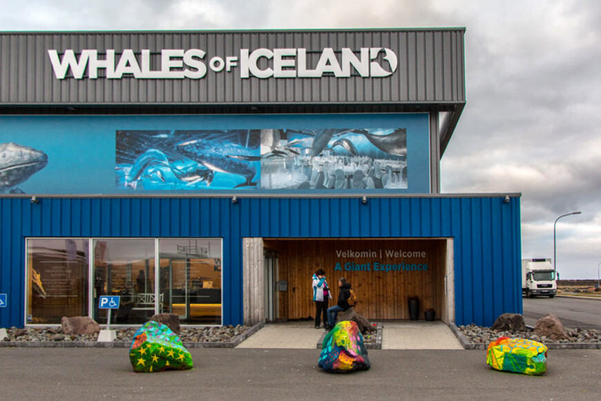 Исландия: музей кита