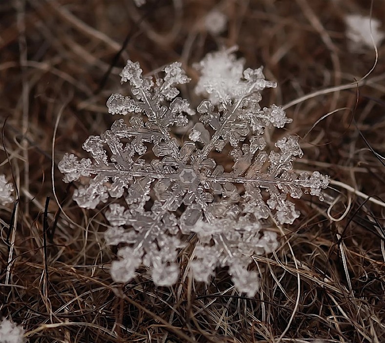20 самых причудливых зимних явлений на фотографиях