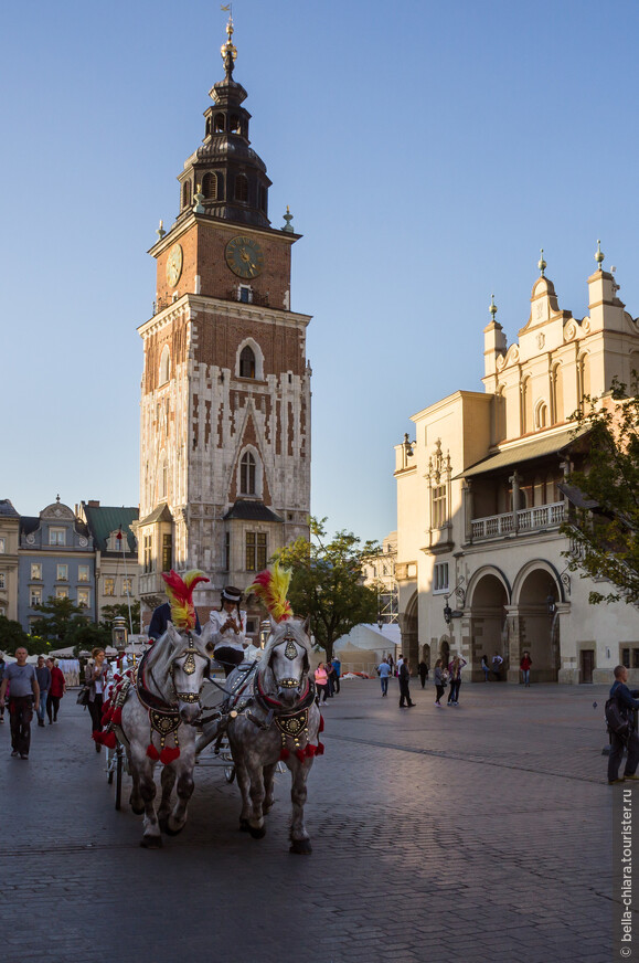 Отпуск в Польше — неожиданно прекрасно! Часть 2. Краков