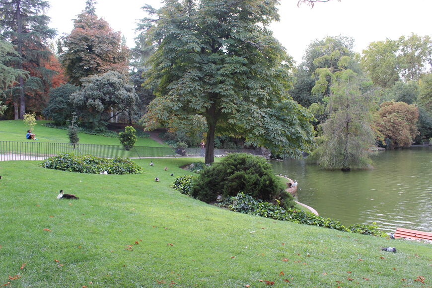 Озеро в парке