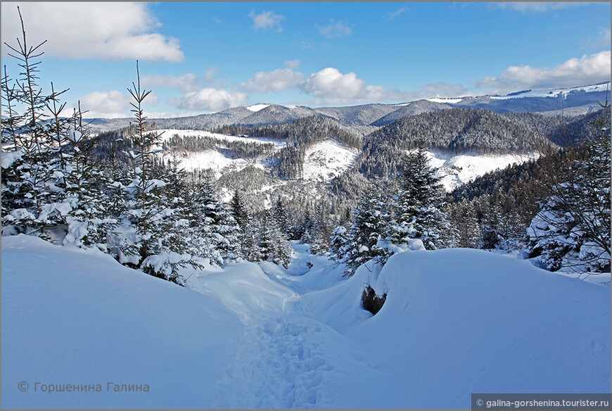 Зимняя мелодия Карпатских гор