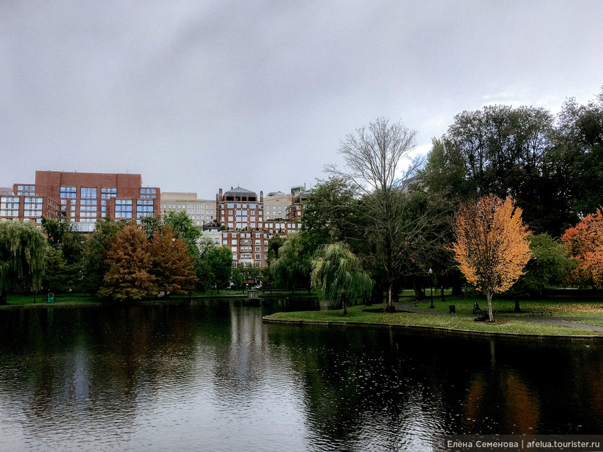 Осенняя сказка в Бостоне
