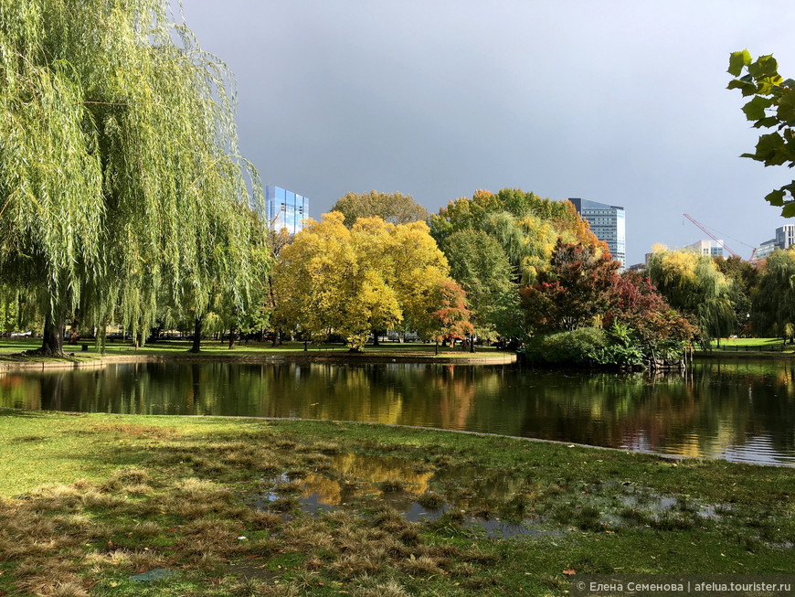 Осенняя сказка в Бостоне