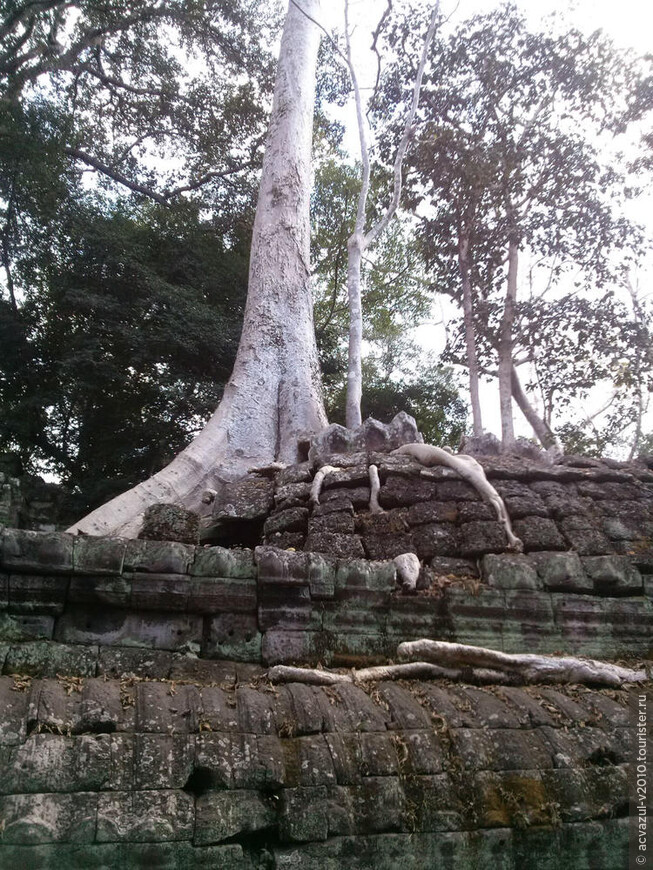 По Малому Кругу Ангкора...