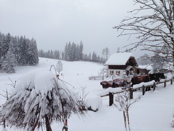 В Альпах из-за снегопада погибли около 10 человек 