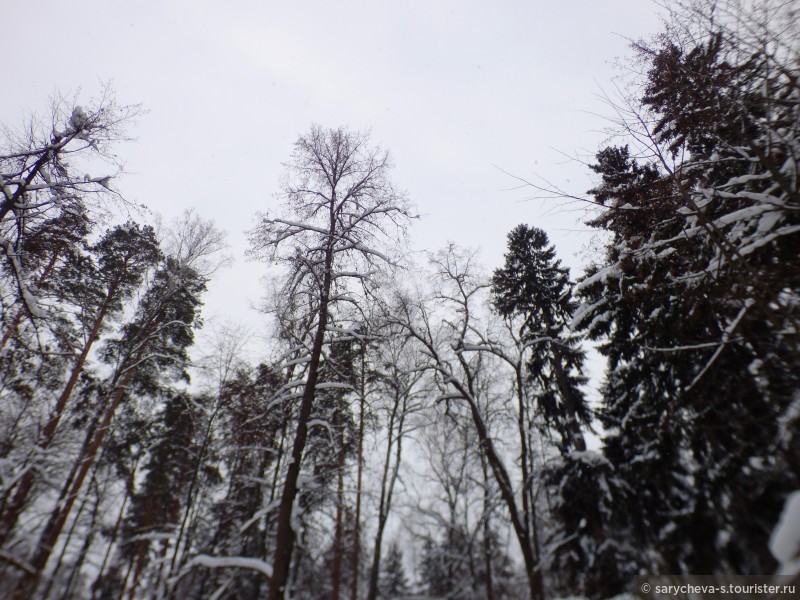 Почему в усадьбу Середниково надо ехать зимой?
