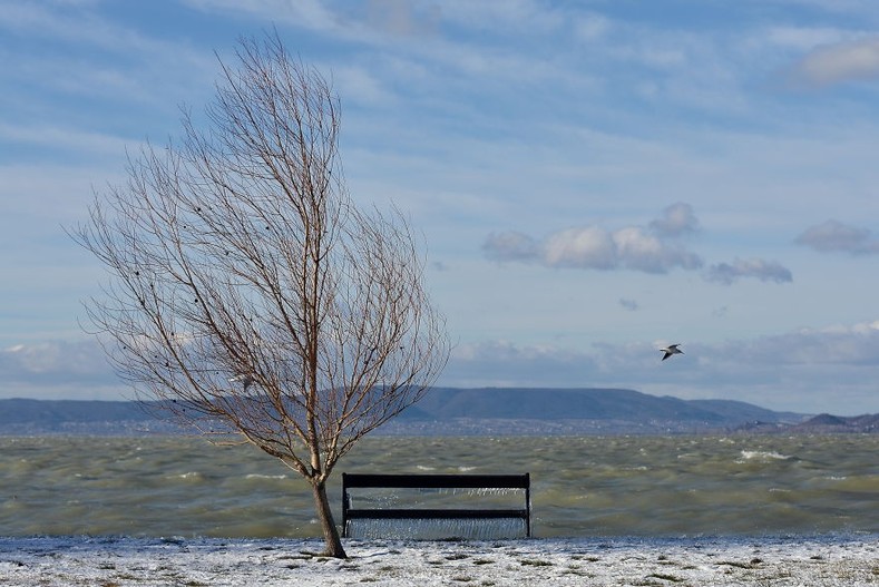 Фотографии зимней страны чудес, в которую превратилось озеро Балатон благодаря ветру и морозам