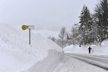 Австрия, Германия и Чехия страдают от сильнейших за последние 20 лет снегопадов 