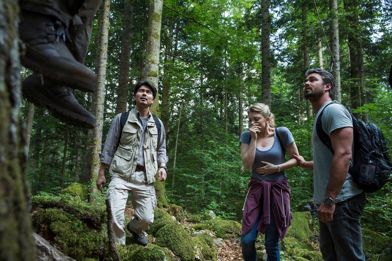 7 самых зловещих лесов, в которых идеально снимать фильмы ужасов