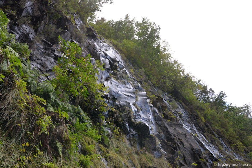 Мадейра. Левада 25 водопадов и водопад Риско. Смотровая площадка Статуя Христа.