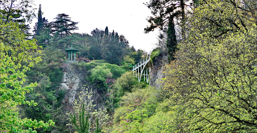 Ботанический сад Тбилиси