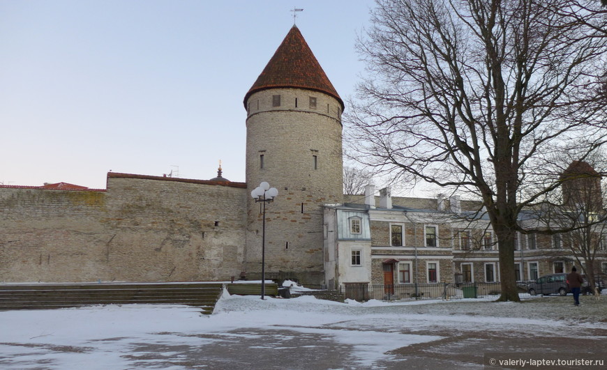 Башни и крепостные стены Старого Таллина