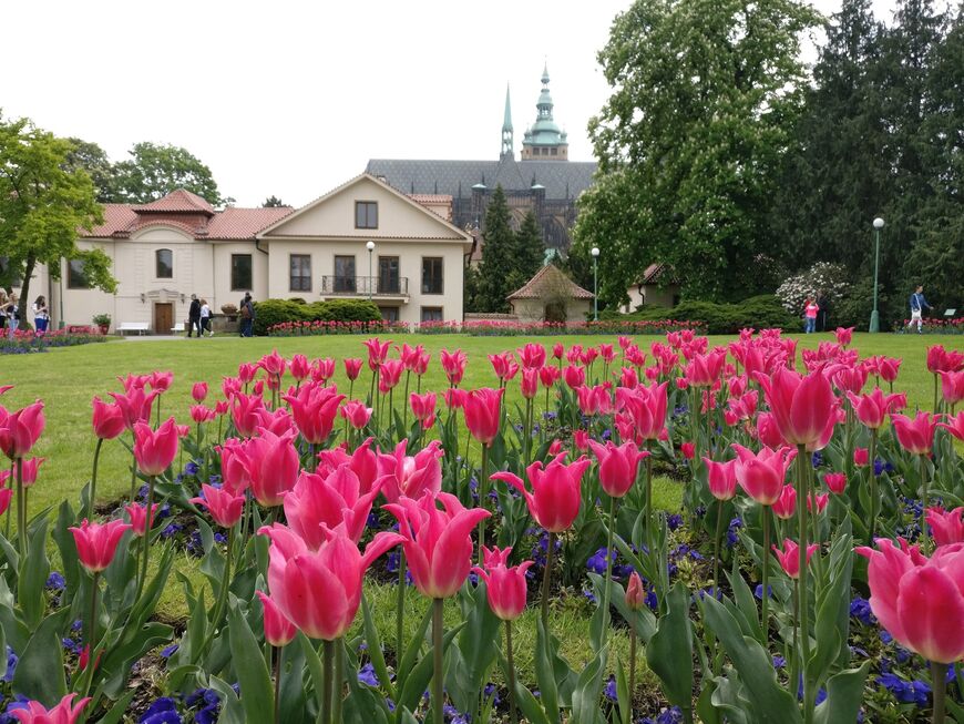 Королевский сад в Праге