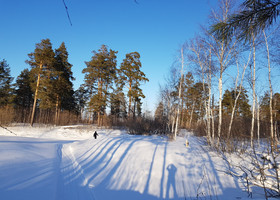 Сказочная зима в Западной Сибири