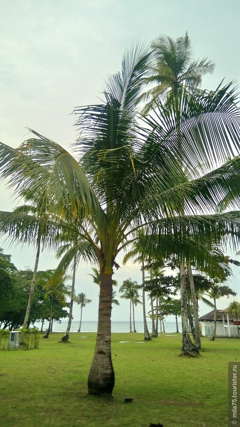 Пляжный отдых недалеко от Сингапура