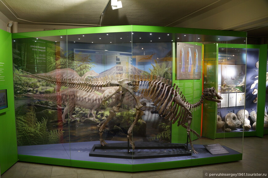  Шлемоголововый утконосый динозавр (гадрозавр) Nipponosaurus sakhalinensis Nagao.