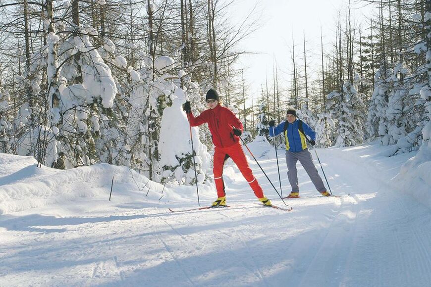 Трасса для беговых лыж
