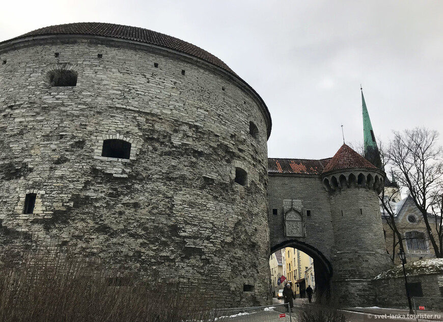 Легенды средневекового Таллина