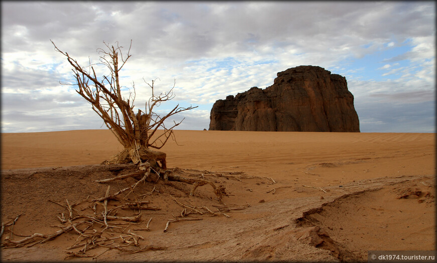 Алжирская Сахара, день четвёртый — вечеринка в пустыне 