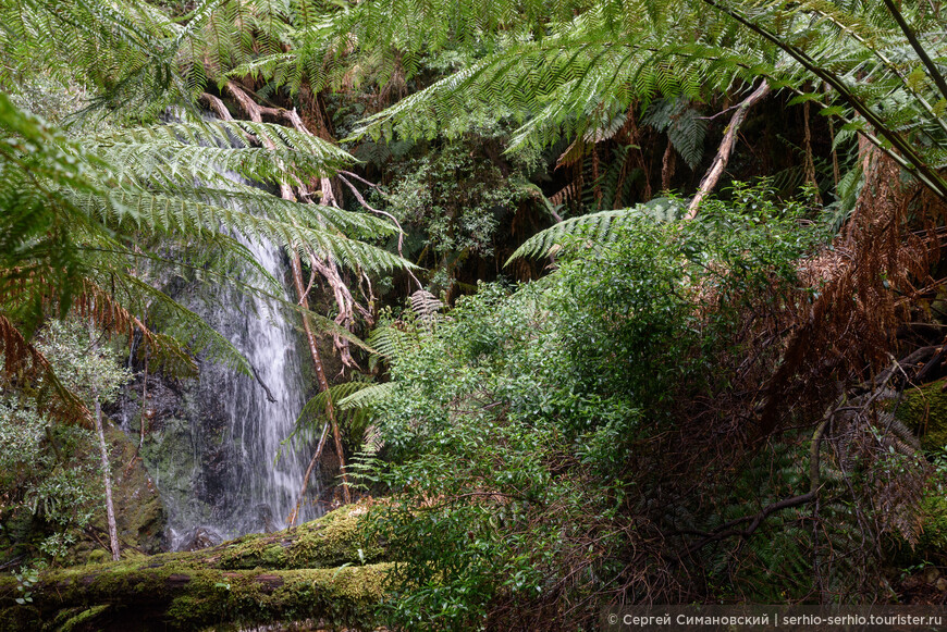 Тасмания (Часть 3 — озеро Бербери, Нельсон, джунгли и самый высокий водопад в Тасмании)