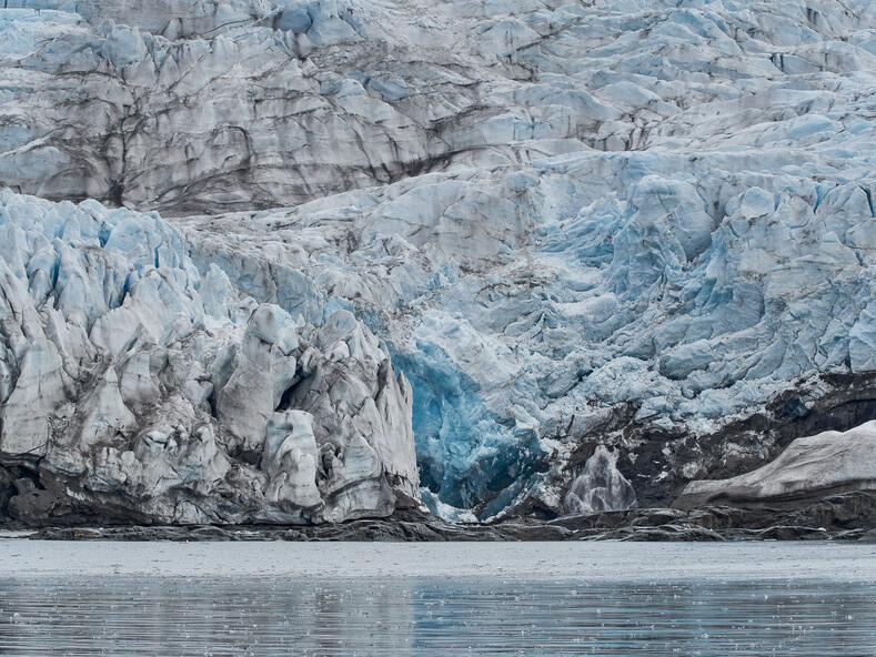 Тишина, безлюдность и холод: фантастические фотографии полярных пейзажей и животных