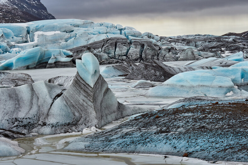 Тишина, безлюдность и холод: фантастические фотографии полярных пейзажей и животных