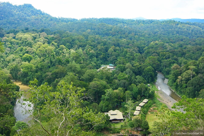 Весь покрытый зеленью, абсолютно весь Борнео 
