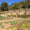 Экскурсия на оливковую ферму из Барселоны