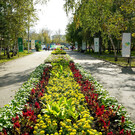 Центральный парк в Барнауле