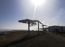 Скелет кита, Калета де Фусте, Фуэртевентура - Museo de Sal, Caleta de Fuste, Fuerteventura