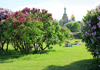 Петербург вошел в ТОП-20 лучших городов для весенних поездок в мире 