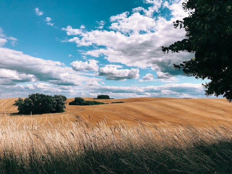 Лучшие фотографии со всего мира, сделанные на iPhone