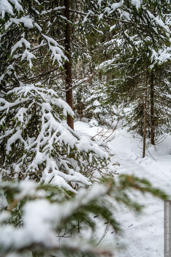 Карелия. Поймать зиму за хвост