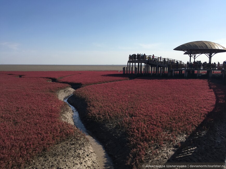 Путешествие по Китаю: Красный Пляж
