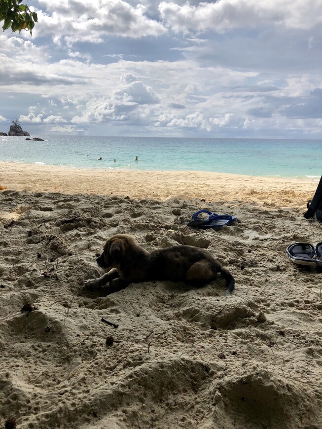 остров Маэ, пляж Soleil
