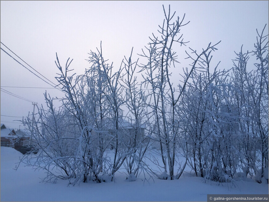 Северный край за далекими далями… Полярный Урал. Часть 1.  Земля, опаленная ветрами земля, утомленная снегами земля…